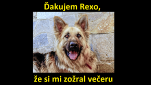 Ďakujem Rexo, že si mi zožral večeru