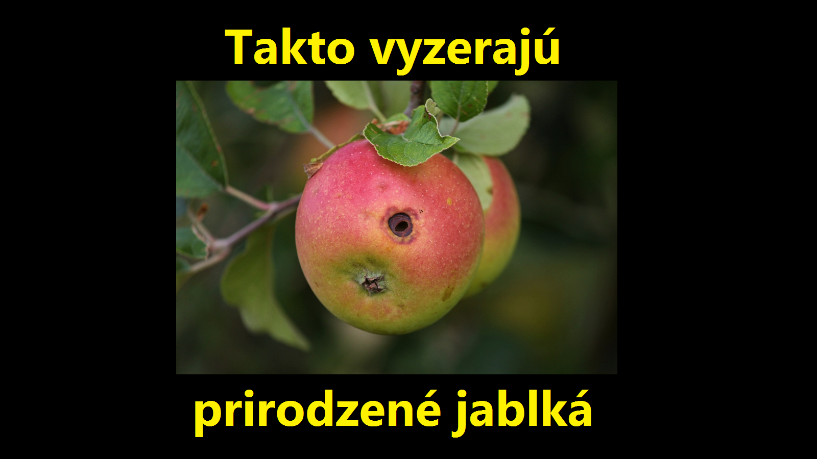 Takto vyzerajú prirodzené jablká